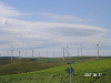 s_PICT0178_thumb.png